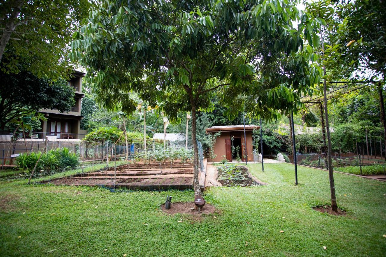 Kalu'S Hideaway Udawalawe Hotell Eksteriør bilde