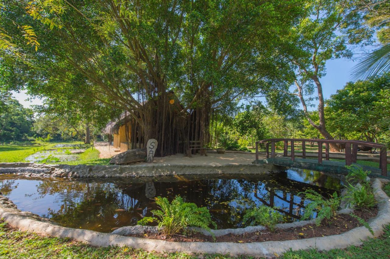 Kalu'S Hideaway Udawalawe Hotell Eksteriør bilde