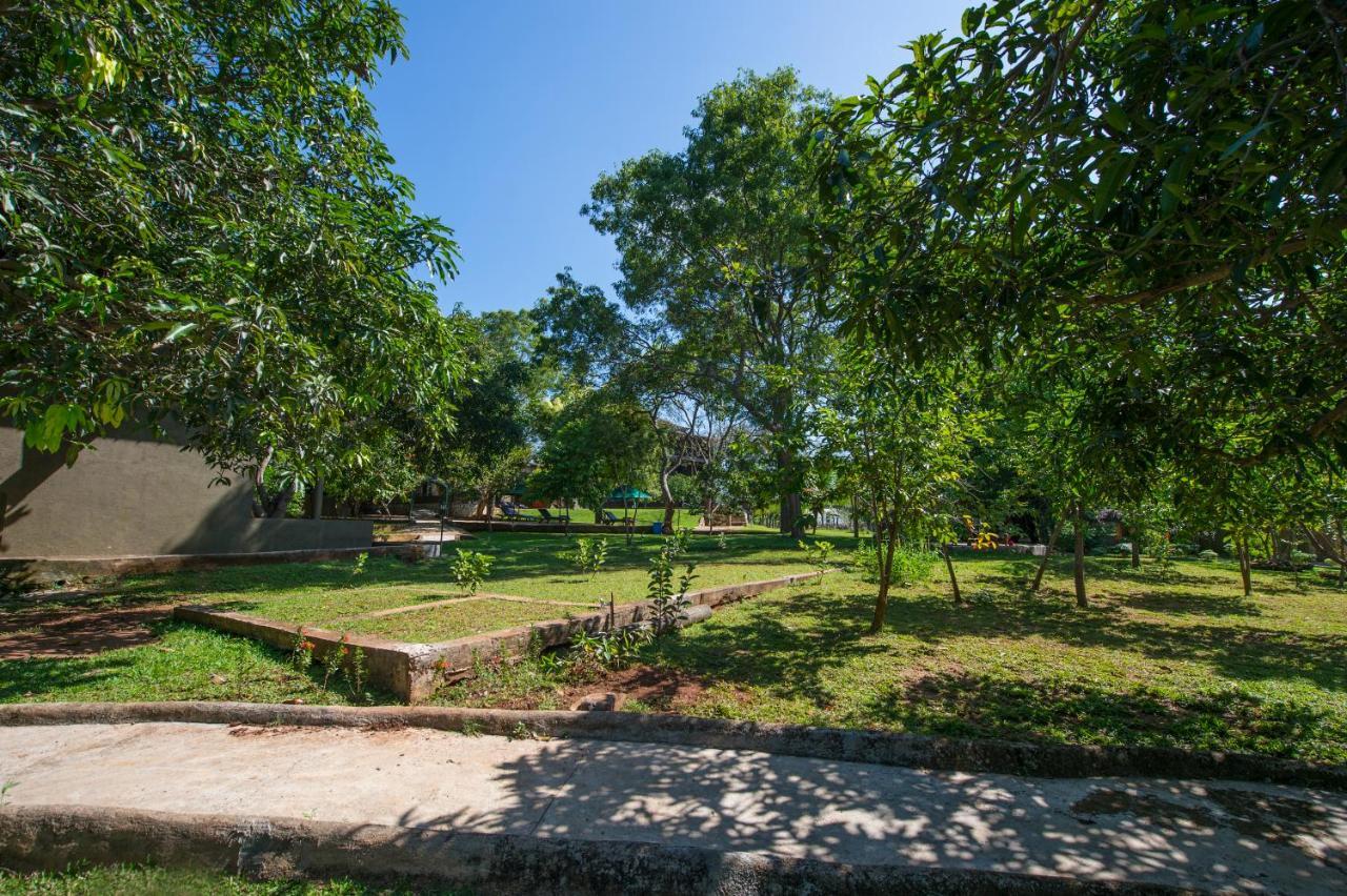 Kalu'S Hideaway Udawalawe Hotell Eksteriør bilde